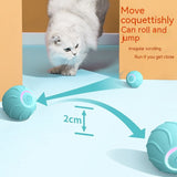 ZoomieBall USB charging