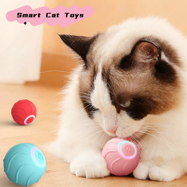 ZoomieBall smart rolling interactive cat ball