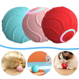 Cat chasing ZoomieBall smart rolling ball